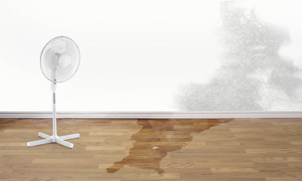 Best Local water damage restoration  in Lubbock, TX
